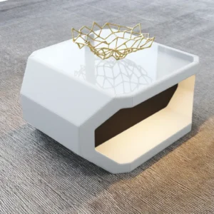 Büffelleder Couchtisch Aurora