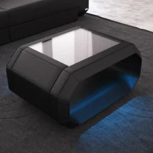Echtleder Couchtisch Regalia